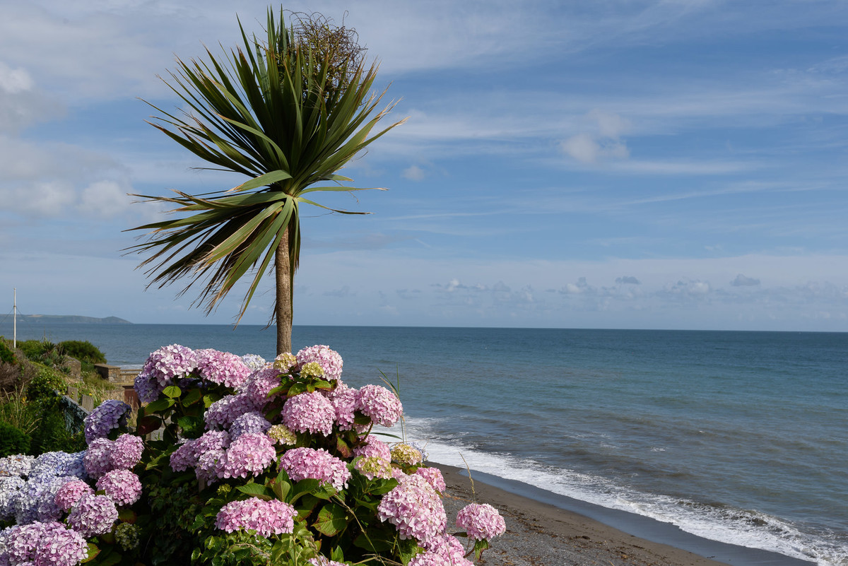 Downderry-Seaviews